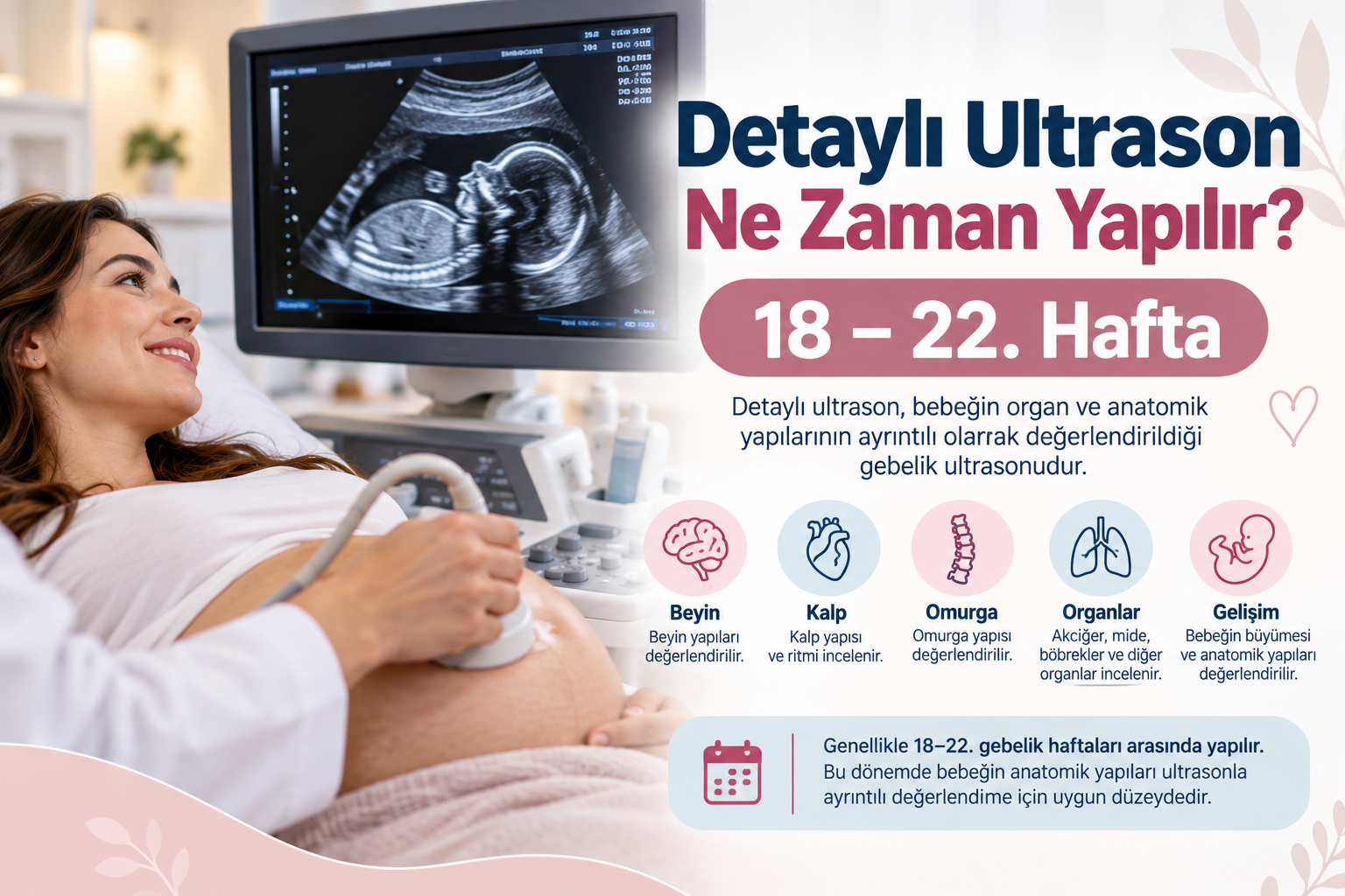 Detaylı Ultrason Ne Zaman Yapılır? | Arnavutköy Detaylı Ultrason